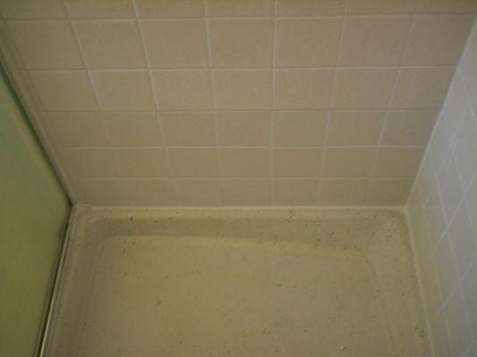 After Shower Regrout