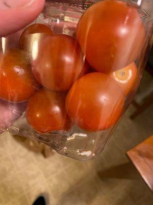 Moldy tomatoes