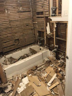 Bathroom demo