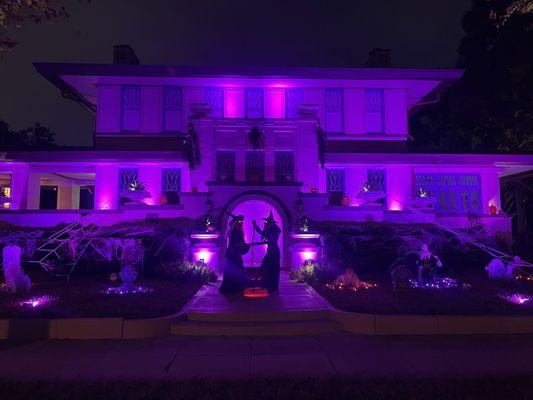 Deep Purple Halloween Decor