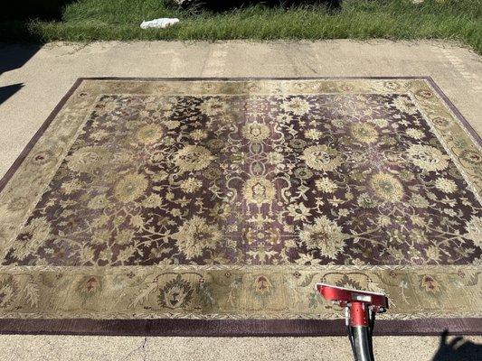 Rug cleaning