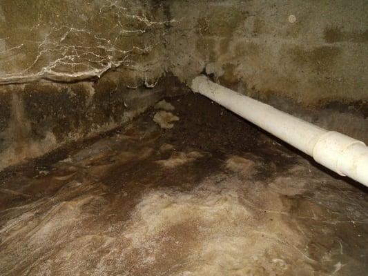 Evidence of water seepage in crawl space on home inspected in Noblseville November of 2013