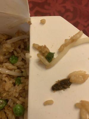 Shrimp fried rice and a ROACH