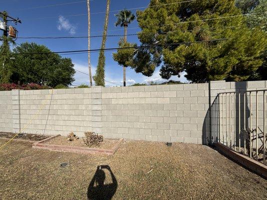 Residential block wall using 4x8x16 at 6 feet high.