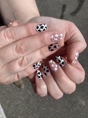 Cow Print Full Set