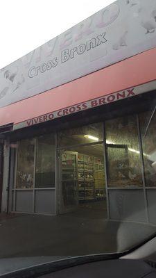 Cross Bronx Live Poultry