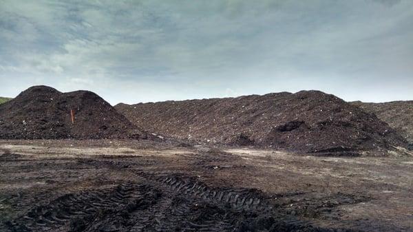 Tons (literally!) of sustainable yard mulch!