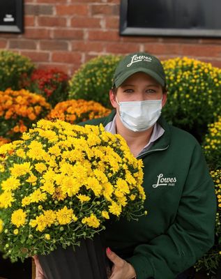 Mums for the Fall