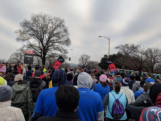 Starting line for the 5k