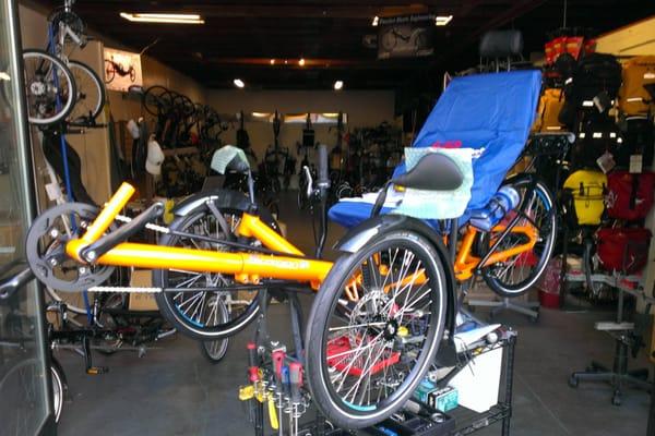 Recumbent trike