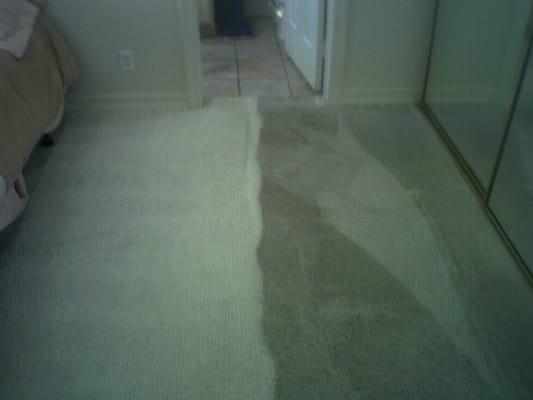 Carpet cleaning half way done by J2 Cleaning Las Vegas