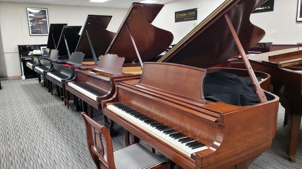 Steinway grand piano selection