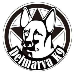 DELMARVA K9