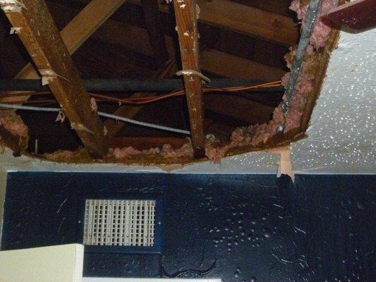 Water Damage, Structural Dryout