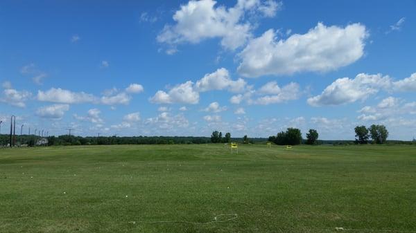 Convient and casual, good driving range for adults with kids.