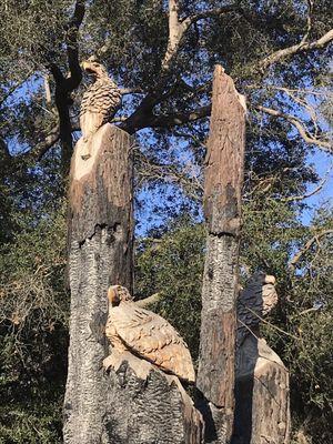 Some trees that burned in the Thomas Fire have been turned into these beautiful sculptures.