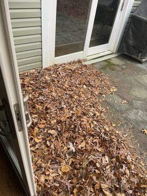 Leafs blown against the house and over the broken piece of siding to hide the damage