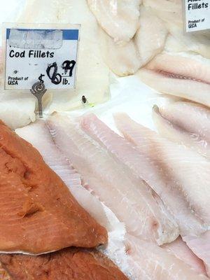 Fly on the cod fillets!!! Disgusting