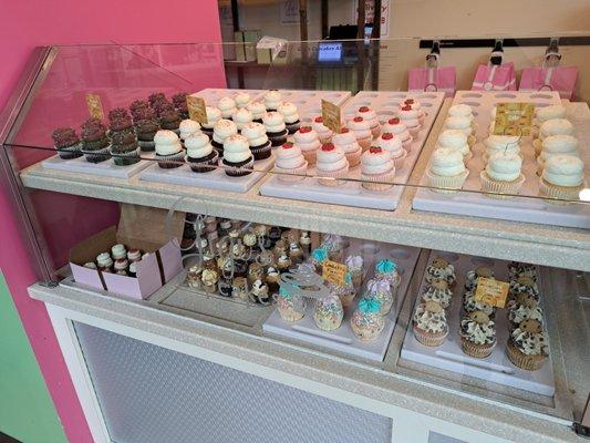 Cupcakes. Mini cupcakes on bottom middle shelf.