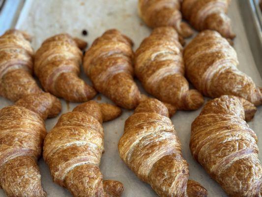 Either plain or Nutella croissants