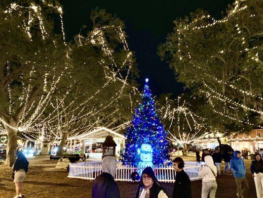 Plaza de la Constitucion -- Christmas lights