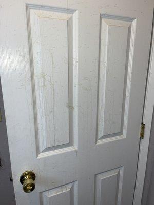 The bathroom door is filthy