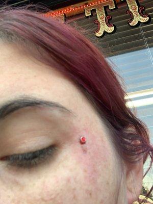 Cute little dermal!