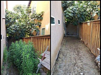 A before and after with some MASSIVE weeds, call us to take care of your weeding problems!