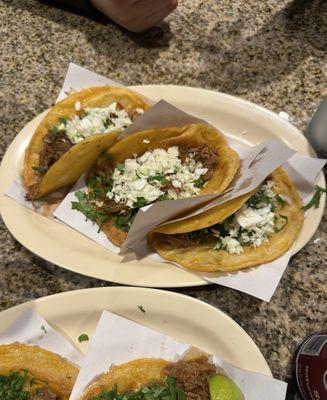 Tacos de Birria con Todo (Repollo Included)