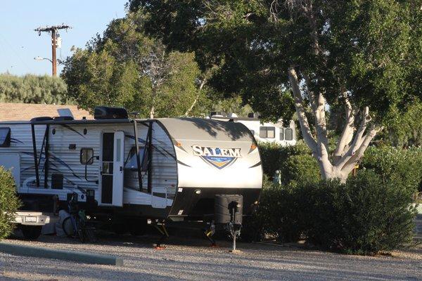 RV Site with Trees