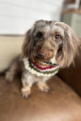 Remi Modeling New Scarfs