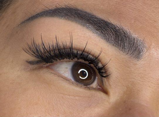 Eyelashes extensions wispy cat eye