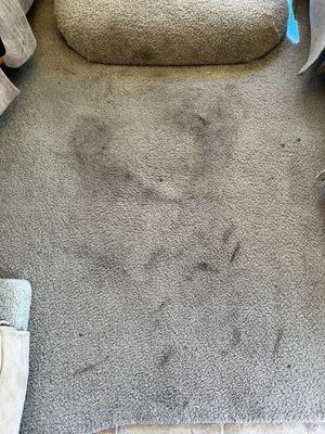 Foot prints from their mechanic that they refused to clean.