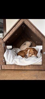 Loving her crate!