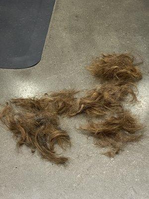 All the hair that was cut.