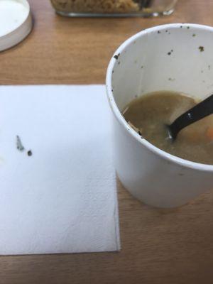 This is my first time eating at commons cafe. I found a sharp object in my soup.