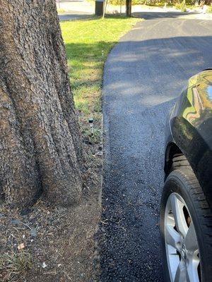 I got you tired of laying 2x4 as edging years back but these folks kept the nice clean lines going all the way to the street!