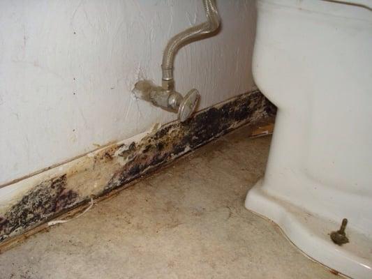 Mold that's never fixed in laundry area