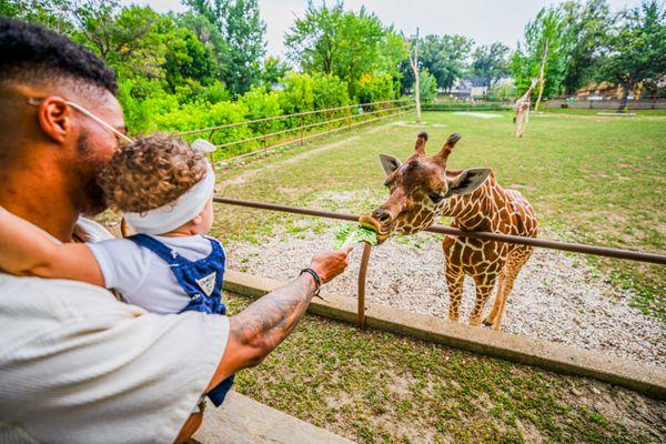 Roosevelt Park Zoo