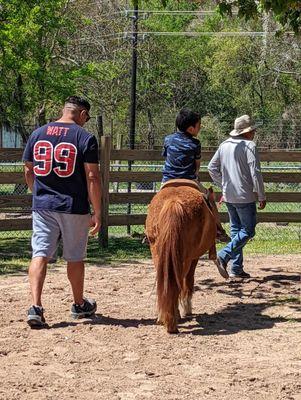 Pony ride