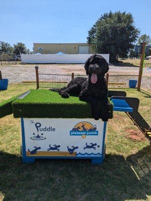 Diogi practicing place in the big yard