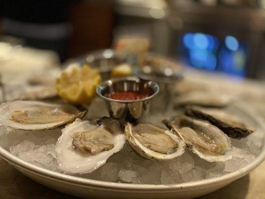 Look at these beautiful oysters