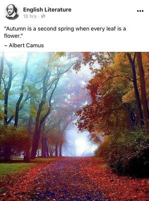 Life and its seasons....