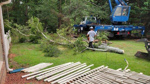 JR Tree Removal