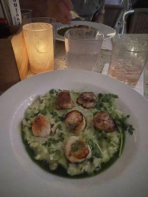 Crispy Scallops in Risotto ( special)