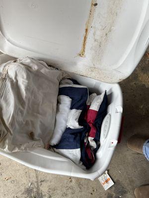 Comforter and pillows in container urinated on