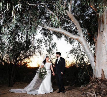 Large tree and tree swing for sunset photos