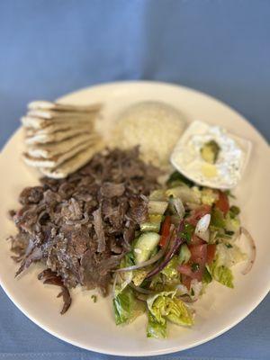 Gyro Plate