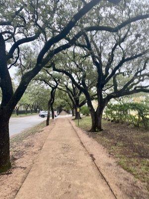 Rice University