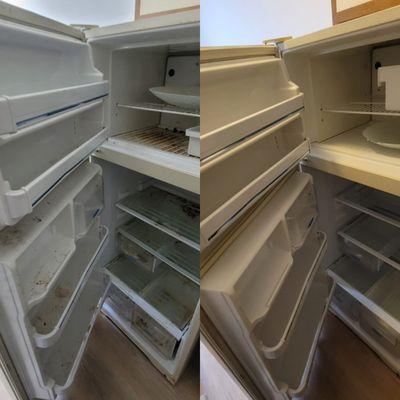 Before and After fridge cleaning